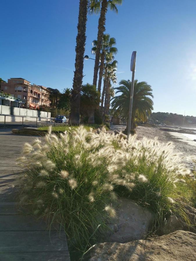 Appartamento Ofdl B T1 Bandol - Briotine Foyalais Esterno foto
