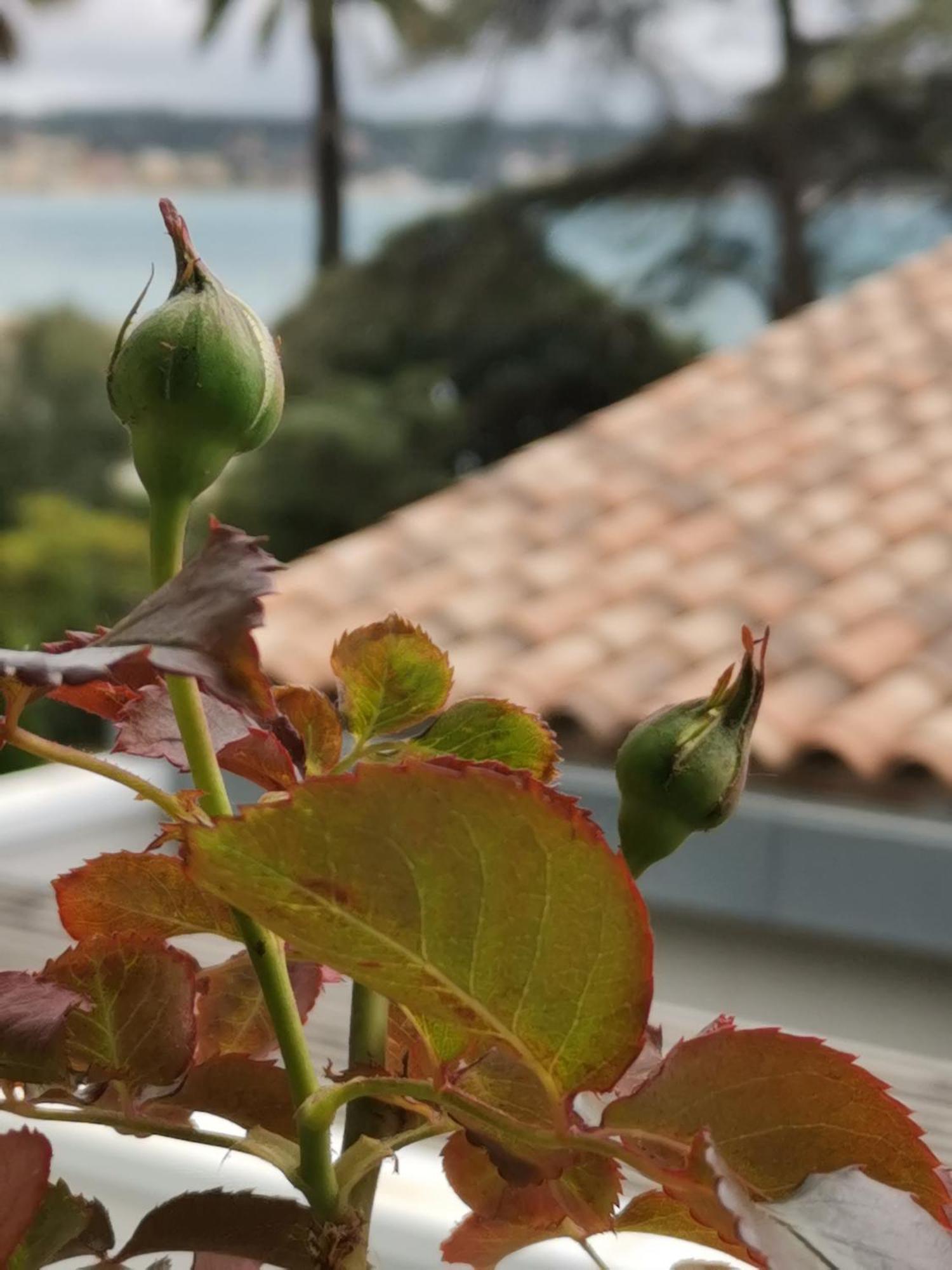 Appartamento Ofdl B T1 Bandol - Briotine Foyalais Esterno foto